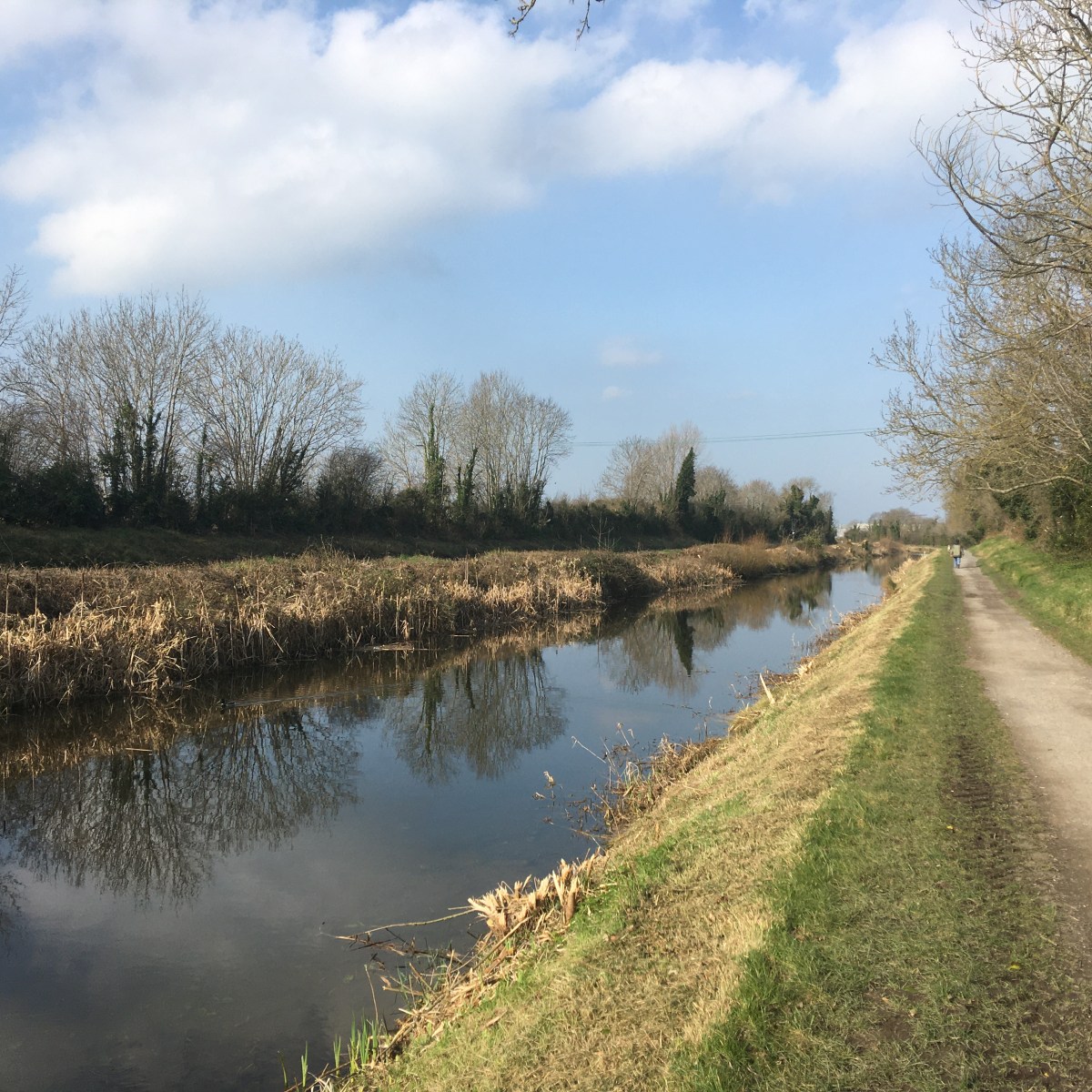 Walking on the Royal Canal: Confey to&nbsp;Maynooth
