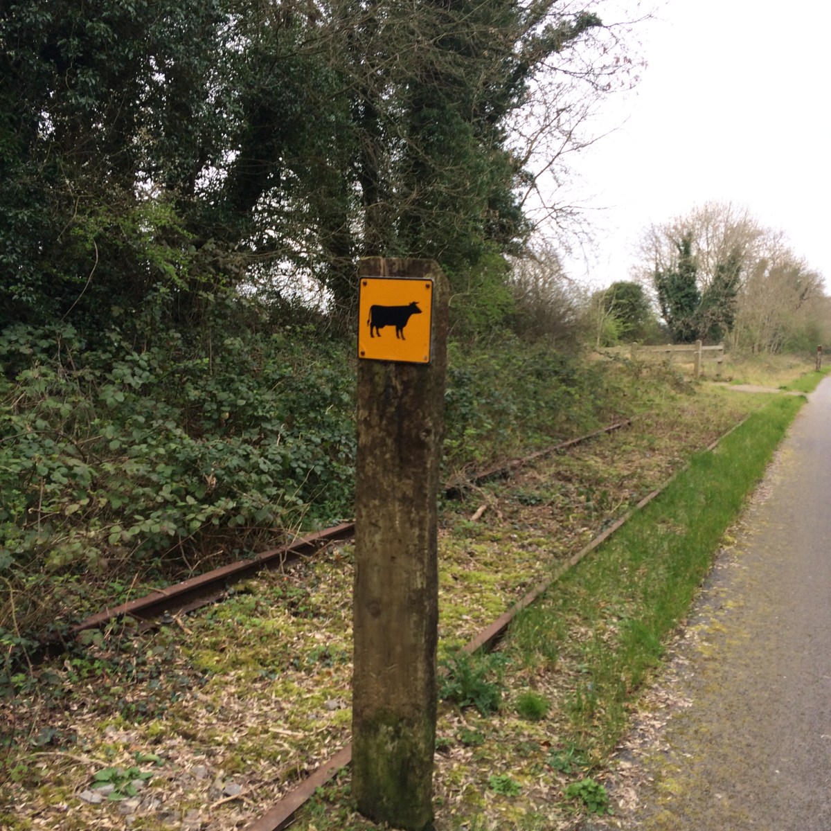 Cycling on the Old Rail Trail: Mullingar to&nbsp;Athlone