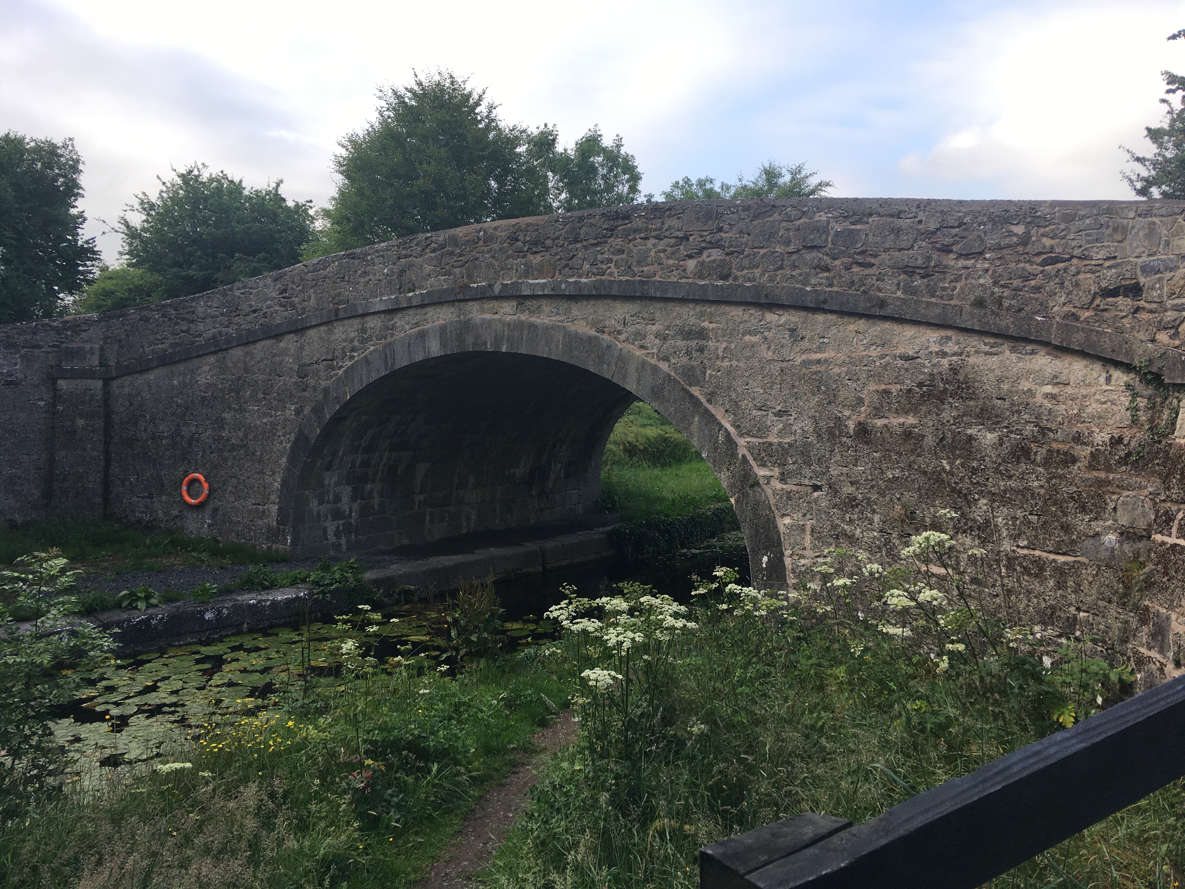 Walking on the Grand Canal: Naas Harbour to Corbally Harbour – Royal ...