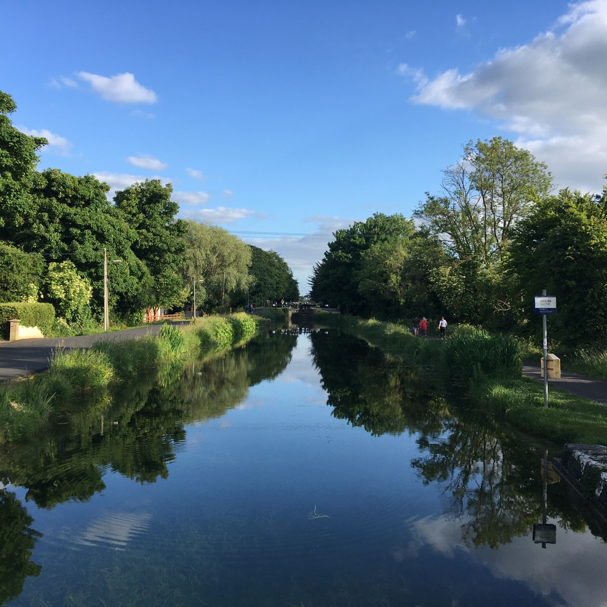Walking on the Grand Canal: Naas&nbsp;Branch