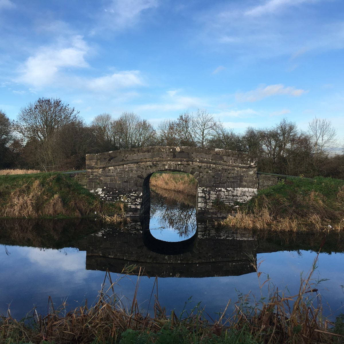 Walking the Royal Canal: Lough Owel&nbsp;Feeder