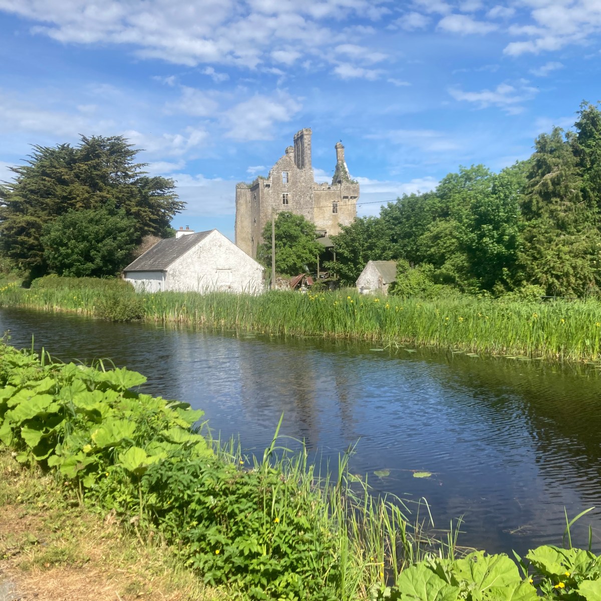 A Guide to Staying on the Right Side of the Grand Canal: Tullamore to Shannon&nbsp;Harbour